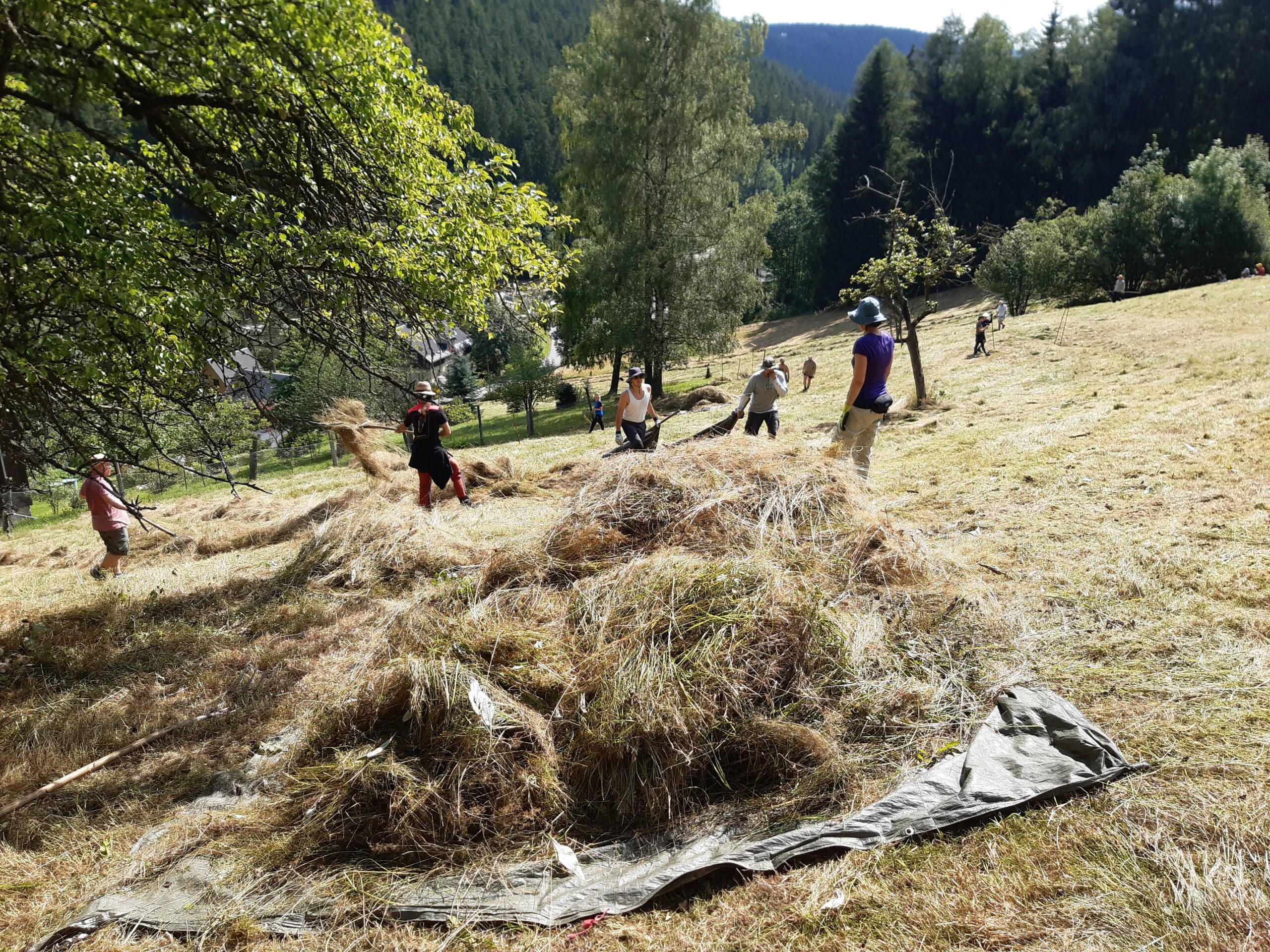 Schellerhauer Naturschutzpraktikum