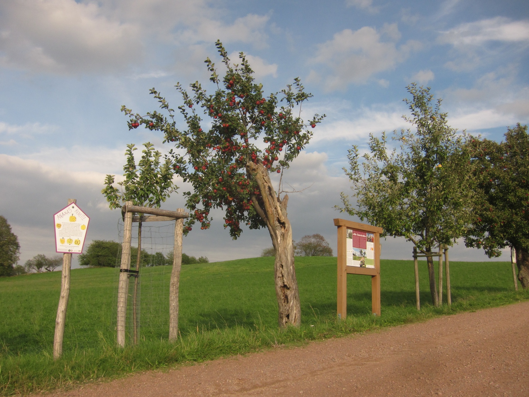 Sorten- und Infotafel bei Cunnersdorf (Foto F. Lochschmidt)